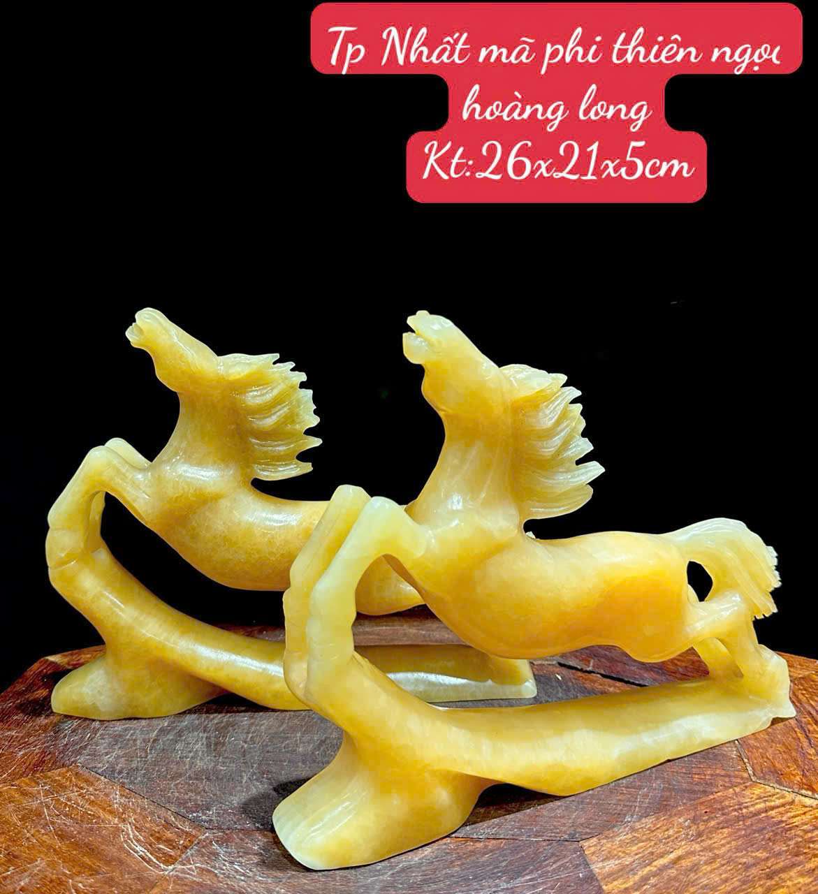 TƯỢNG PHI THIÊN NGỌC HOÀNG LONG 2026
