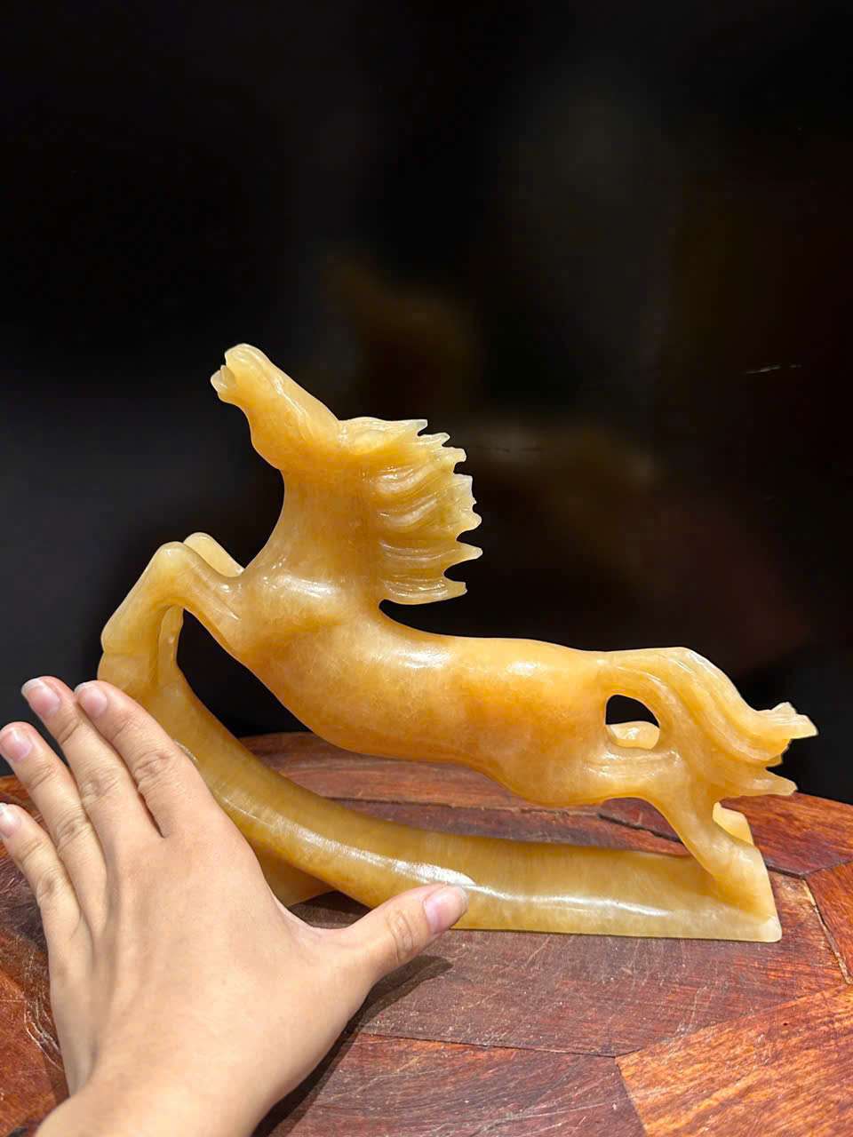 TƯỢNG PHI THIÊN NGỌC HOÀNG LONG 2026