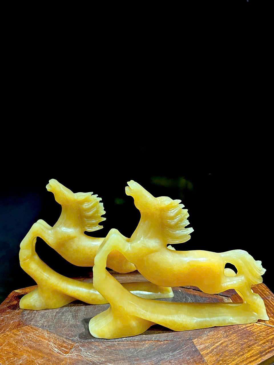 TƯỢNG PHI THIÊN NGỌC HOÀNG LONG 2026